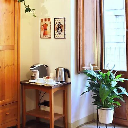 Cataneasy 카타니아